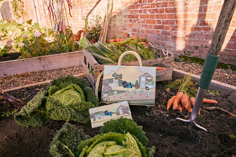 Behind The Picture Bag: The Allotment