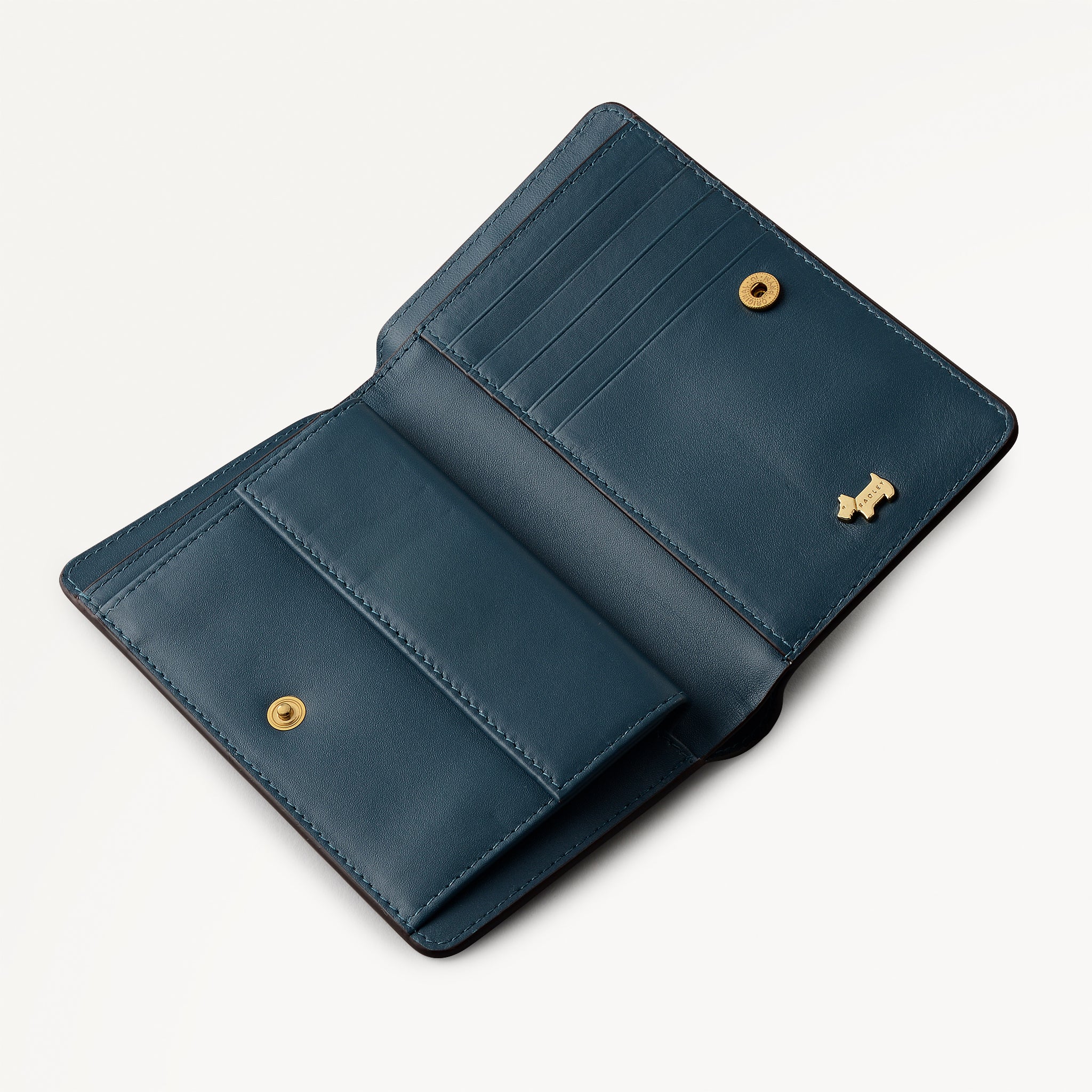 Teal Medium Bifold Wallet | An Ice Day AW25 | Radley London