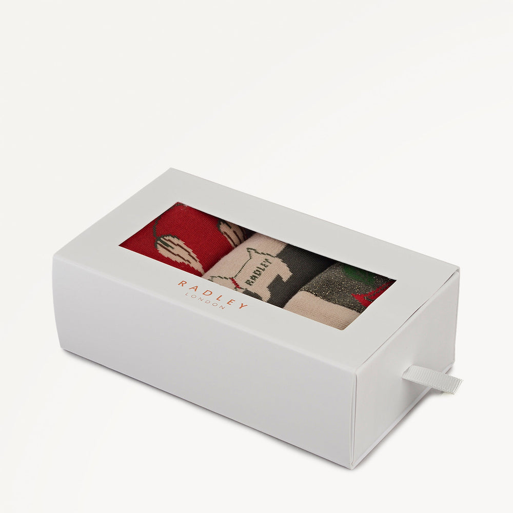 Winter Floral Sock Set - RGE10501