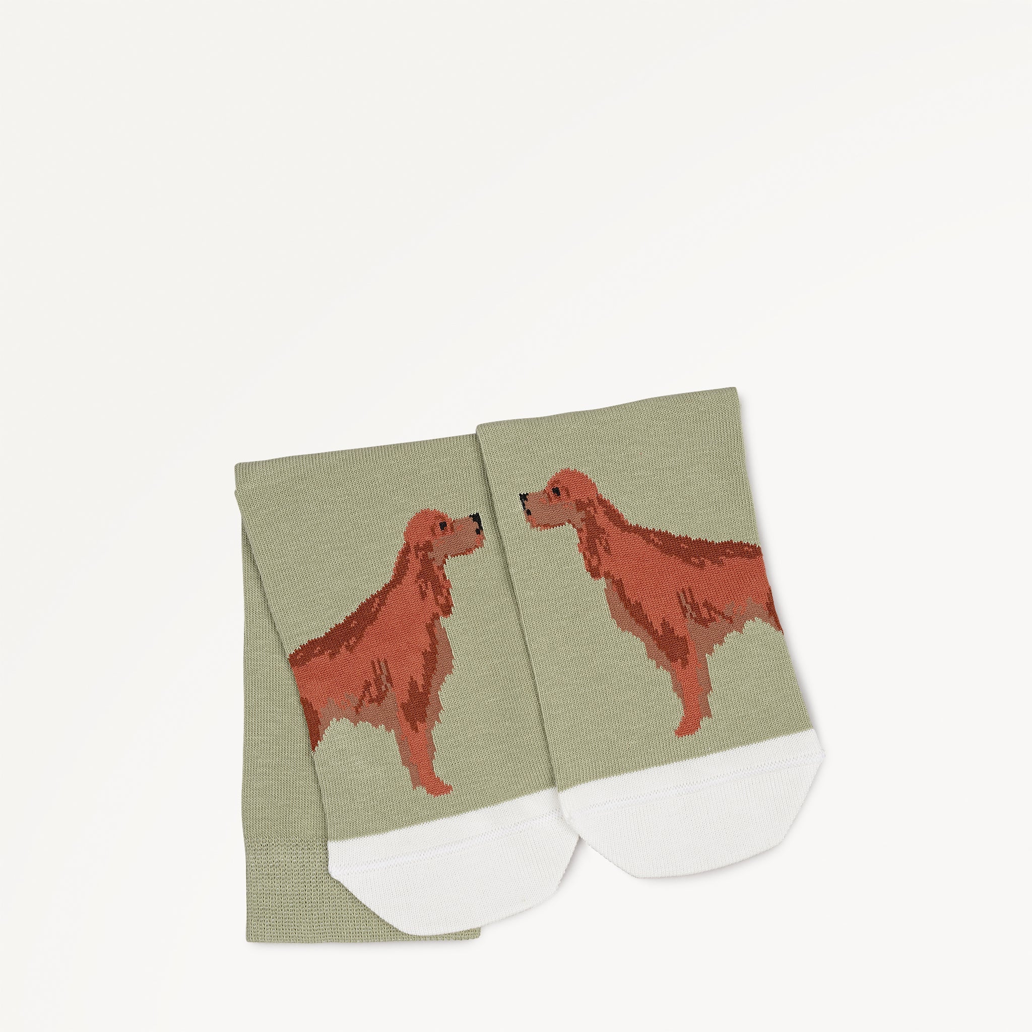 Radley & Friends 1 Pack Socks - RGE10601