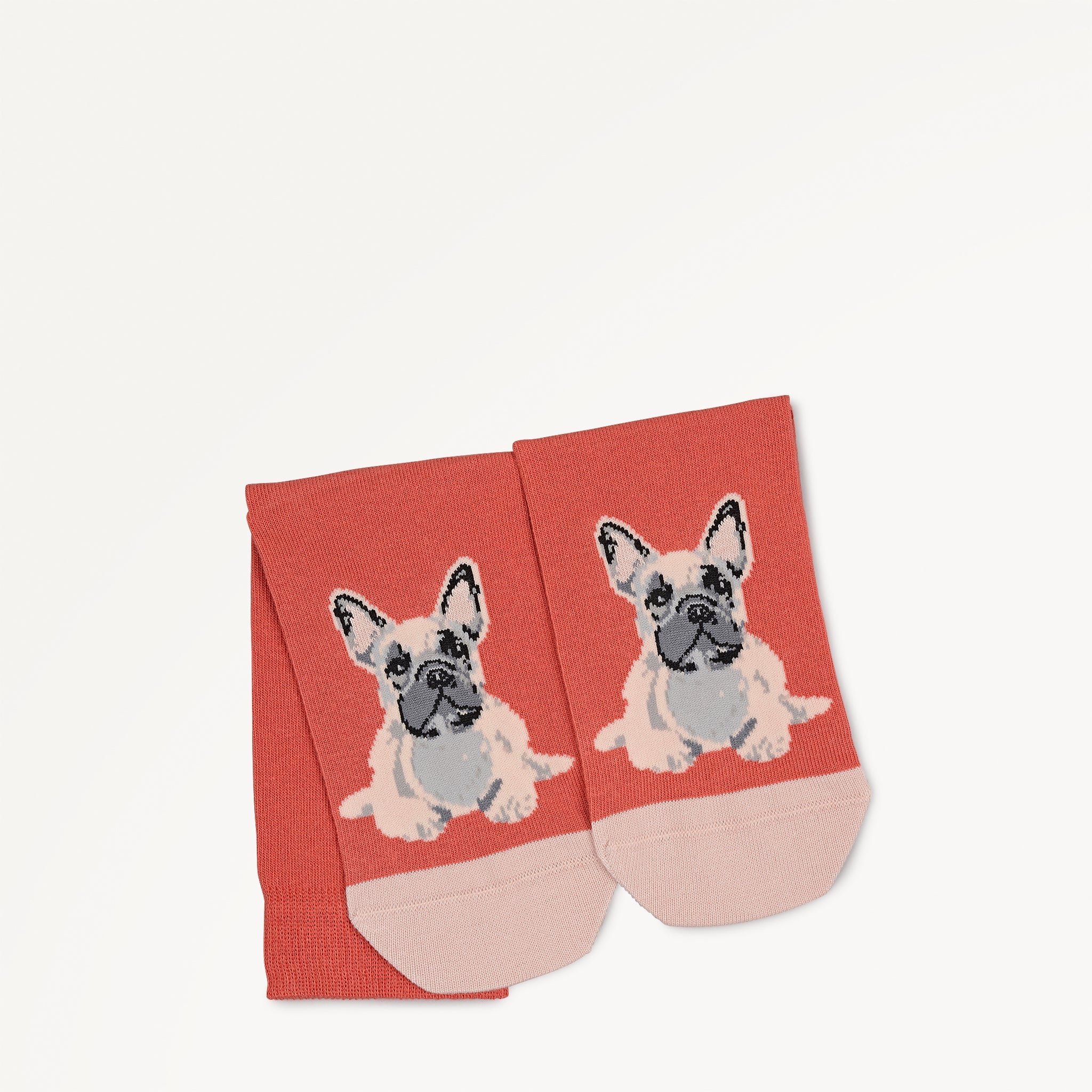 Radley & Friends 1 Pack Socks - RGE10602