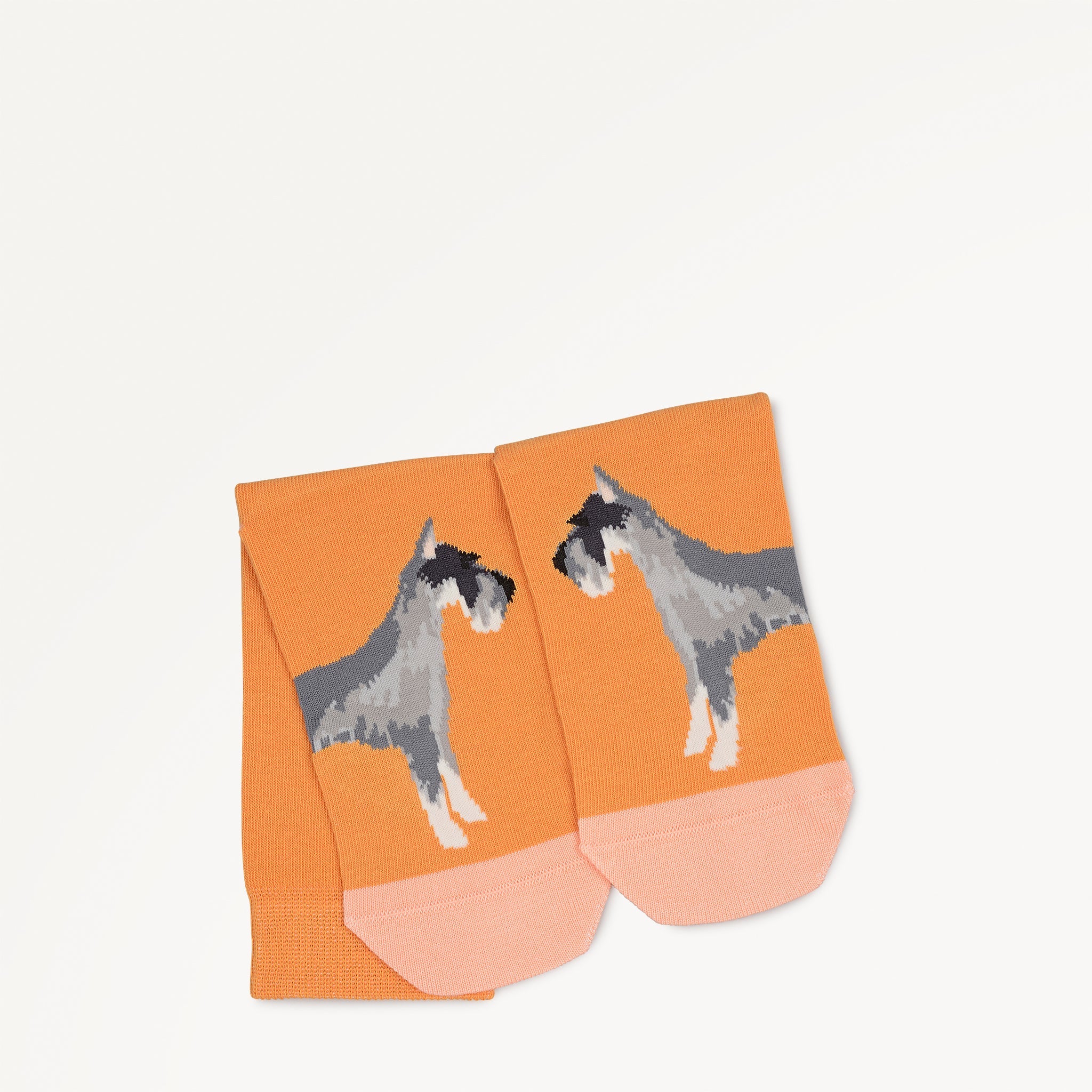 Radley & Friends 1 Pack Socks - RGE10603