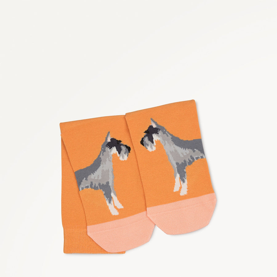 Radley & Friends Fabric 1 Pk Sock in Sundial - 112479