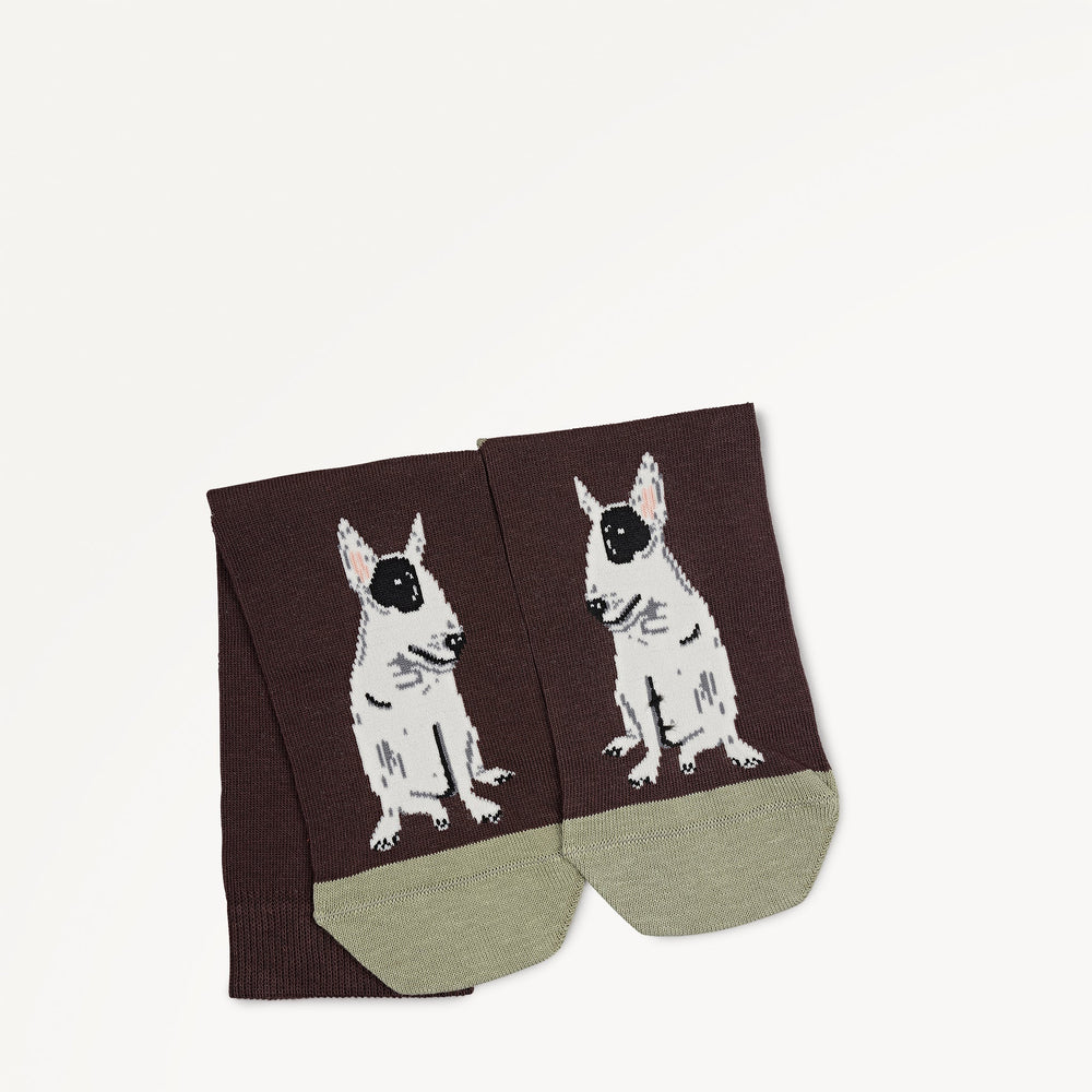 Radley & Friends 1 Pack Socks - RGE10604