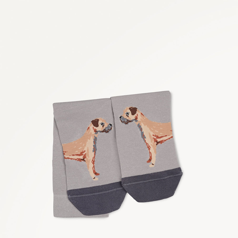 Radley & Friends 1 Pack Socks - RGE10605