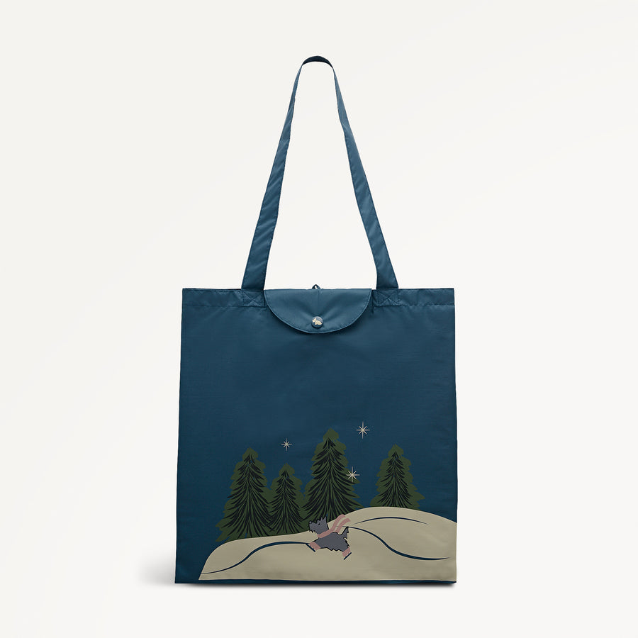 An Ice Day Fabric Responsible Foldaway in Teal - 112514