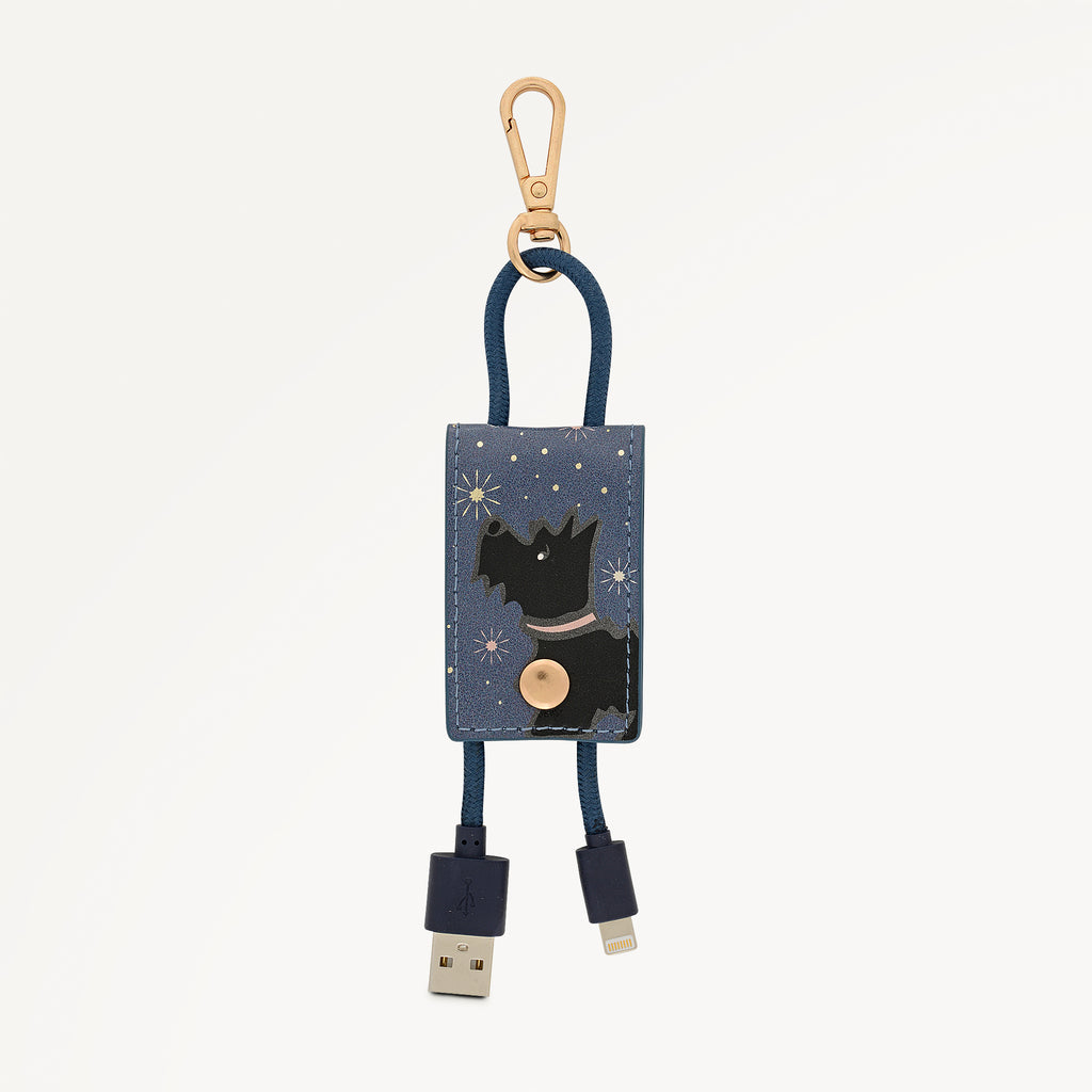 Radley Stardust Charging Cable in Teal - 113225