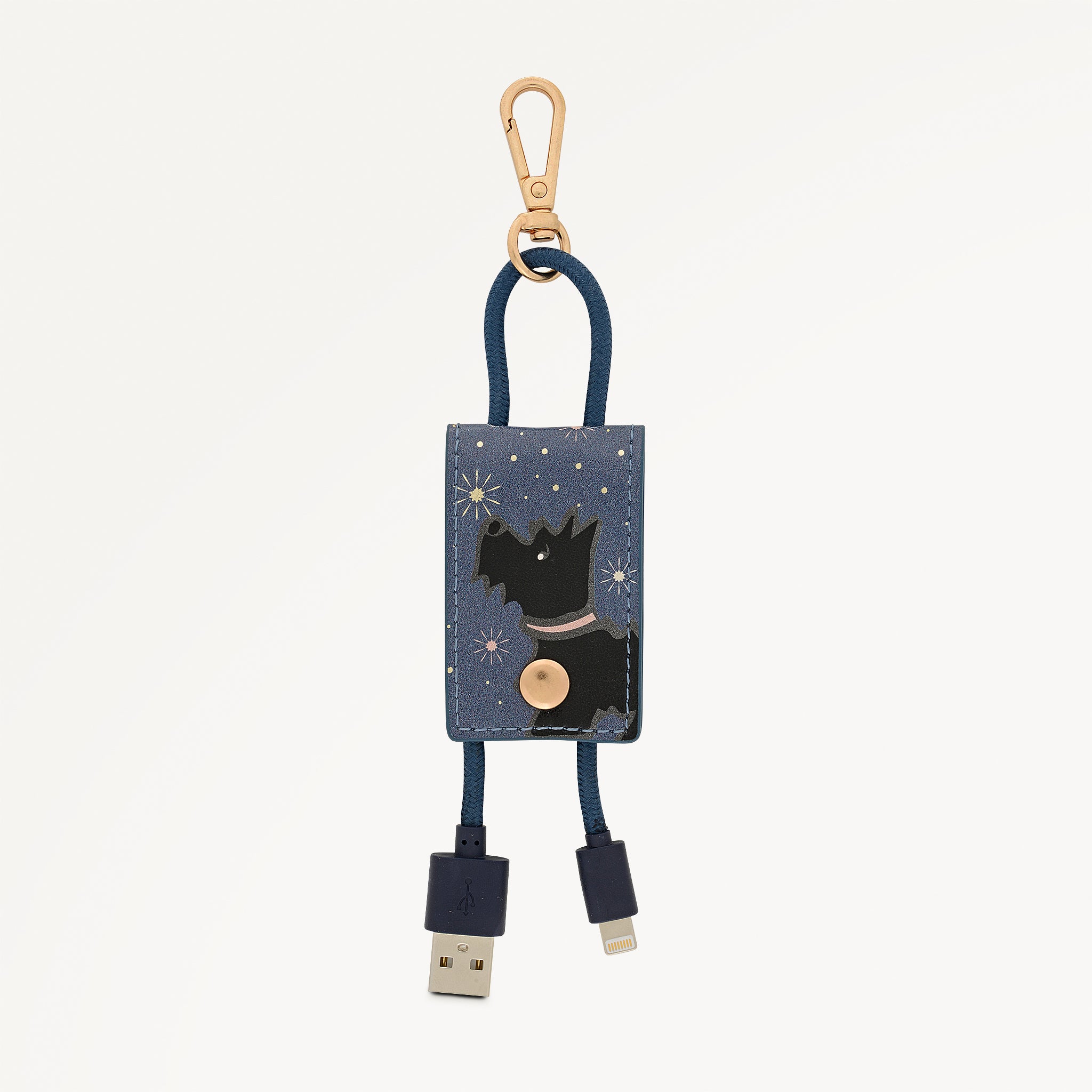 Radley Stardust Charging Cable in Teal - 113225