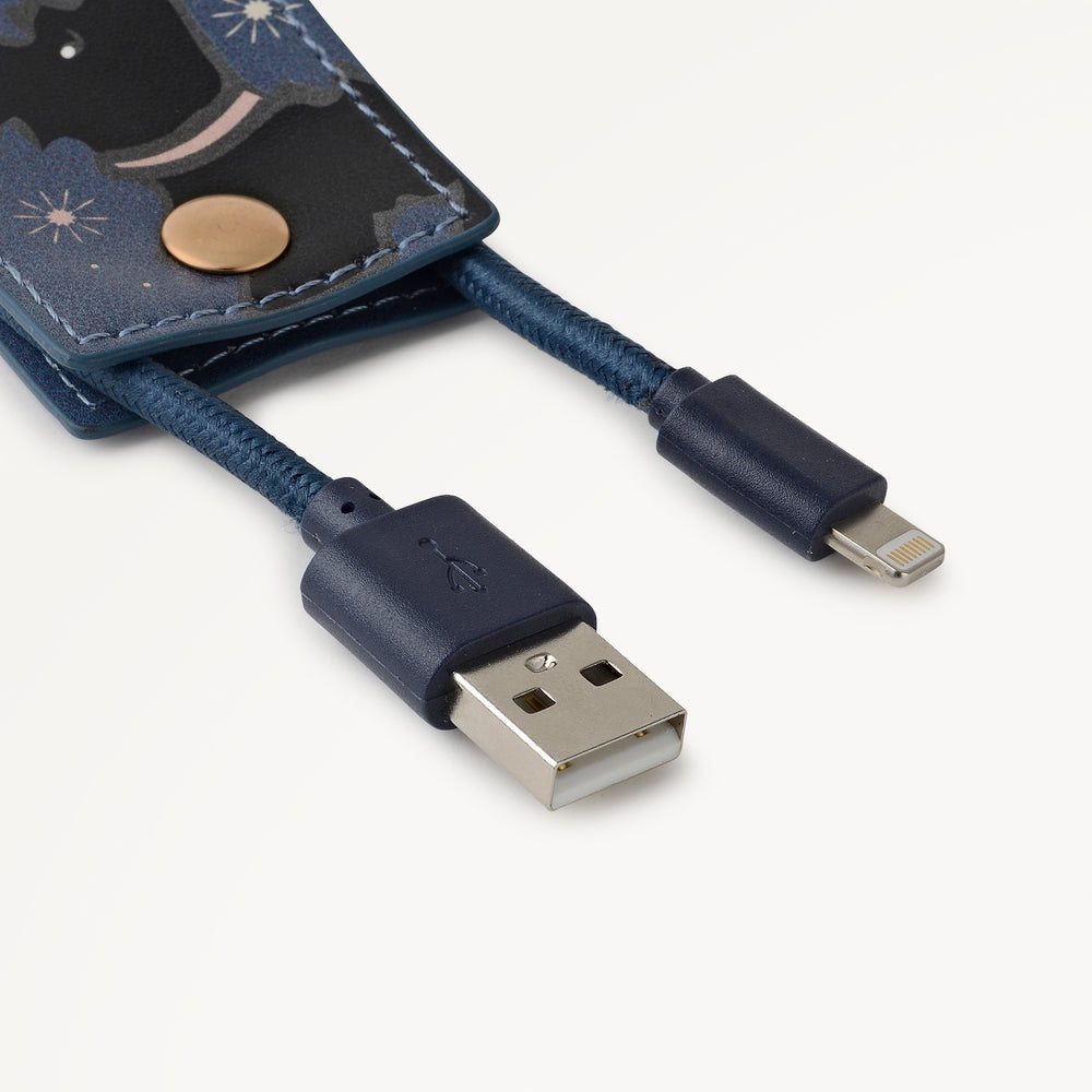 Radley Stardust Charging Cable in Teal - 113225