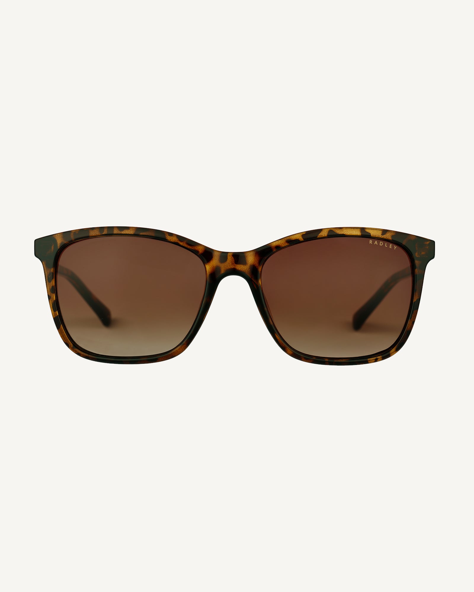 Maldon Mews Wayfarer Sunglasses  Tortoise - 113777
