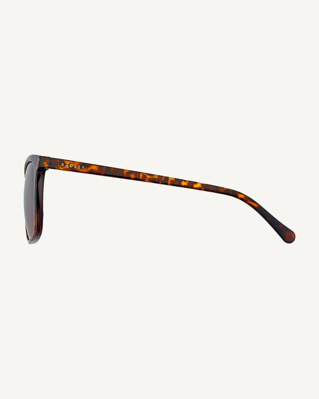 Maldon Mews Wayfarer Sunglasses  Tortoise - 113777
