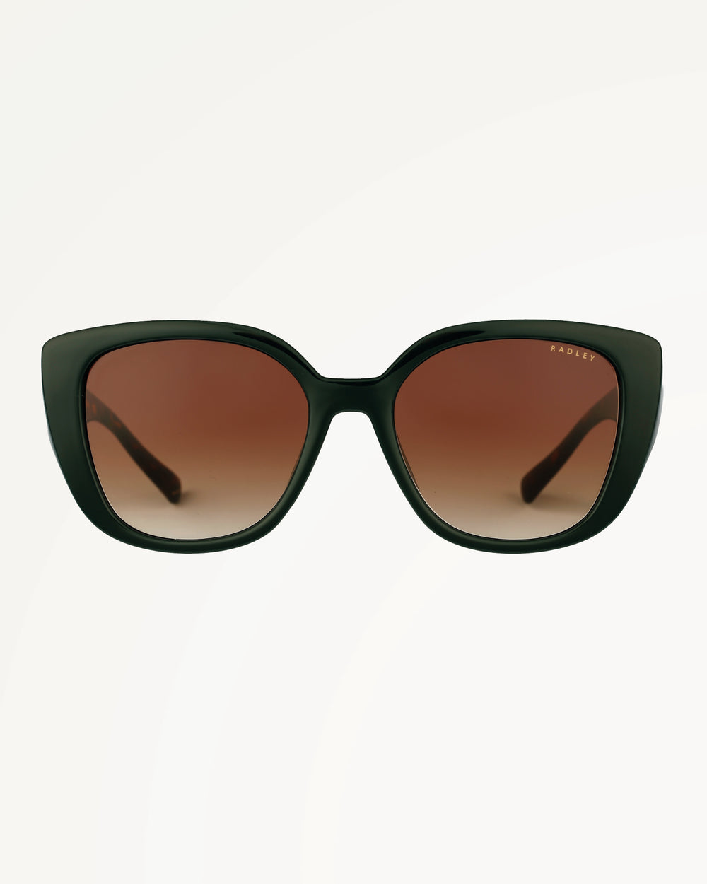 CHISWICK CLASSIC CURVED SUNGLASSES GREEN - 113794