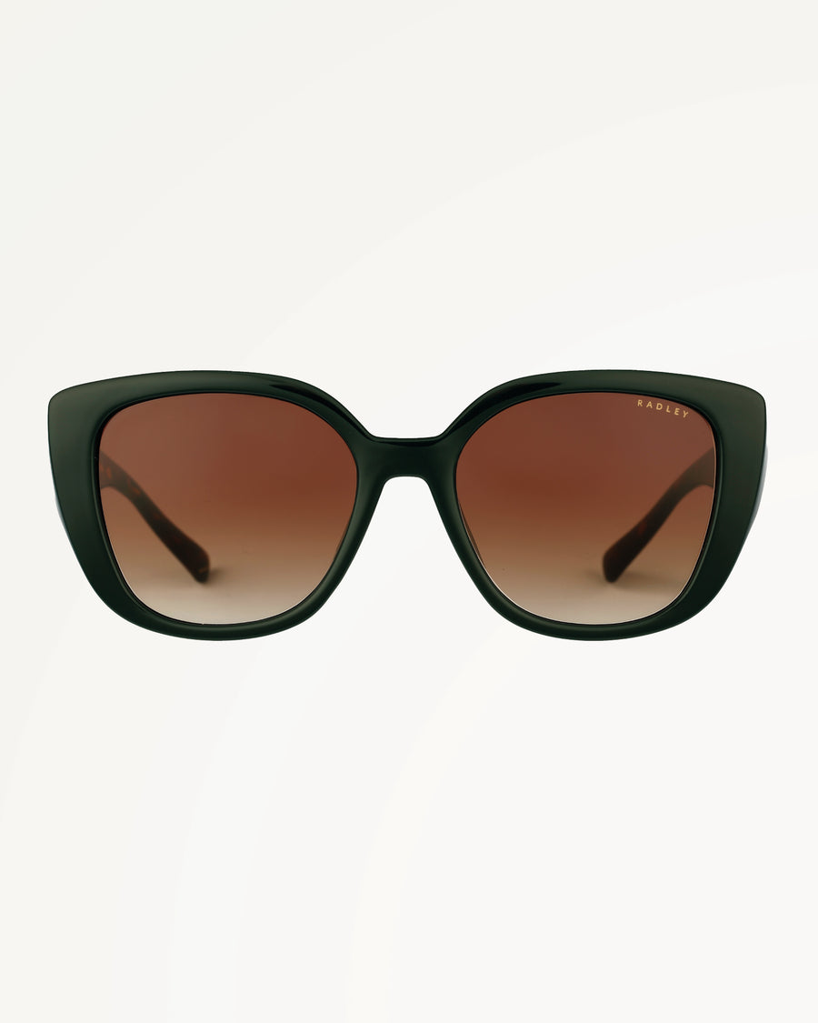 CHISWICK CLASSIC CURVED SUNGLASSES GREEN - 113794