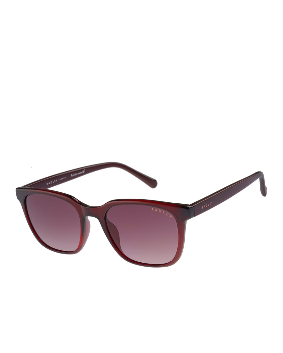HILLGATE SQUARE EYED SUNGLASSES BURGUNDY