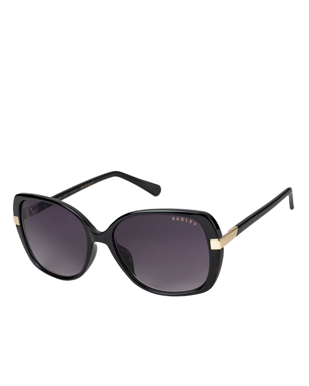 Morwenna Over Sized Metal Trim Sunglasses in Black - O4282001