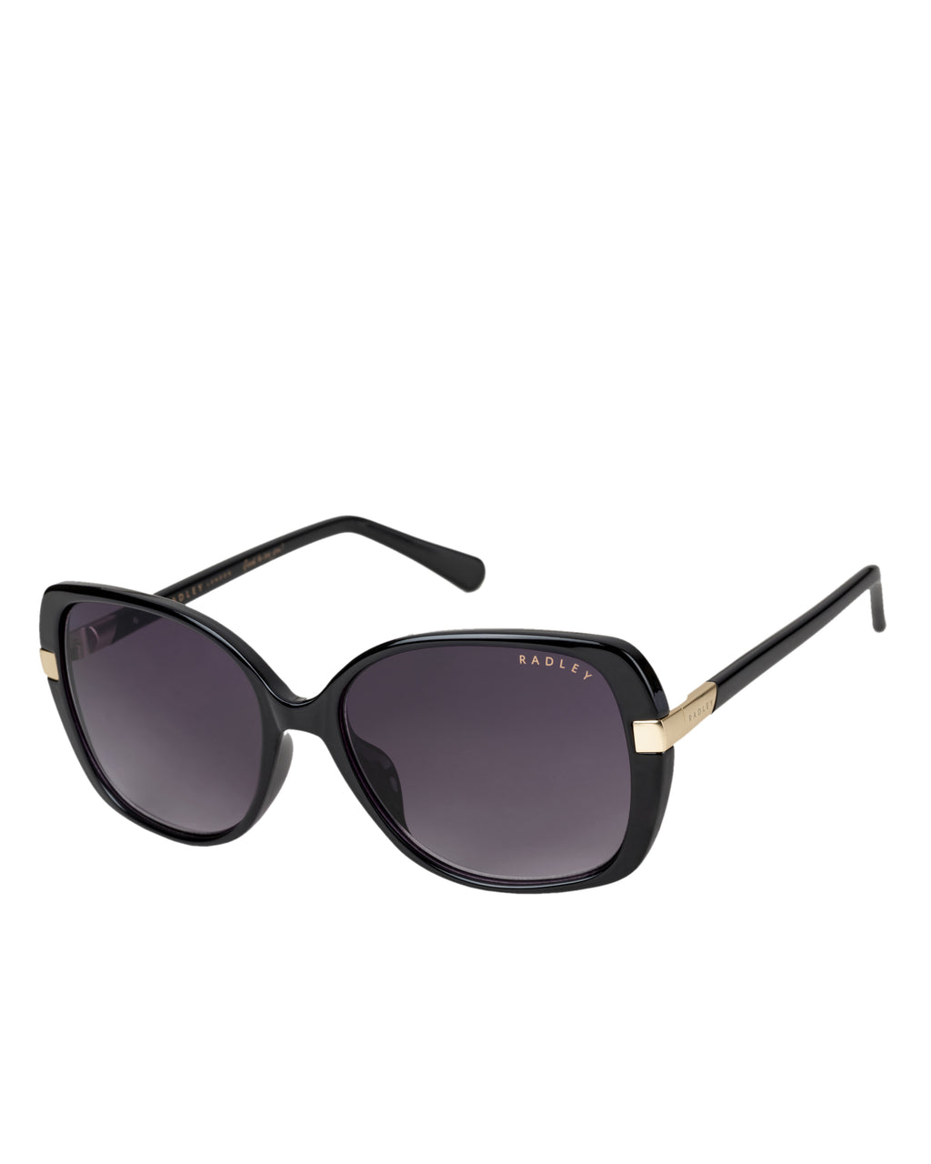 Morwenna Over Sized Metal Trim Sunglasses in Black - O4282001