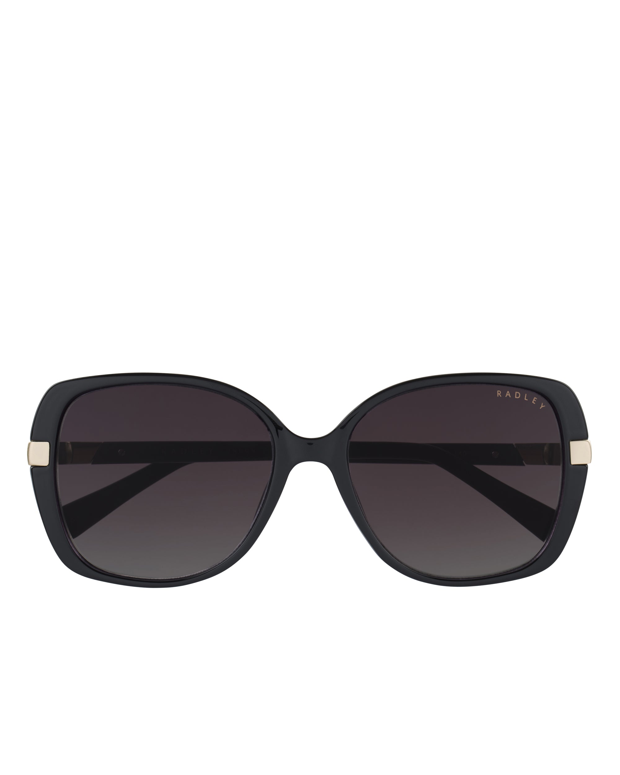 Morwenna Over Sized Metal Trim Sunglasses in Black - O4282001