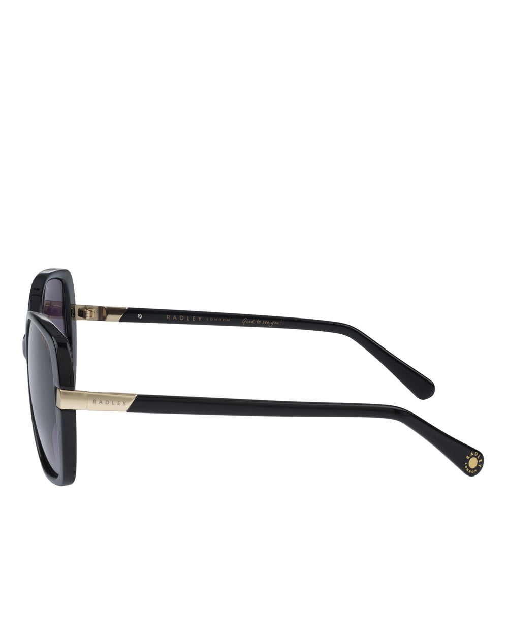 Morwenna Over Sized Metal Trim Sunglasses in Black - O4282001