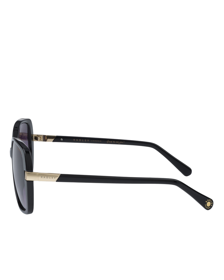 Morwenna Over Sized Metal Trim Sunglasses in Black - O4282001