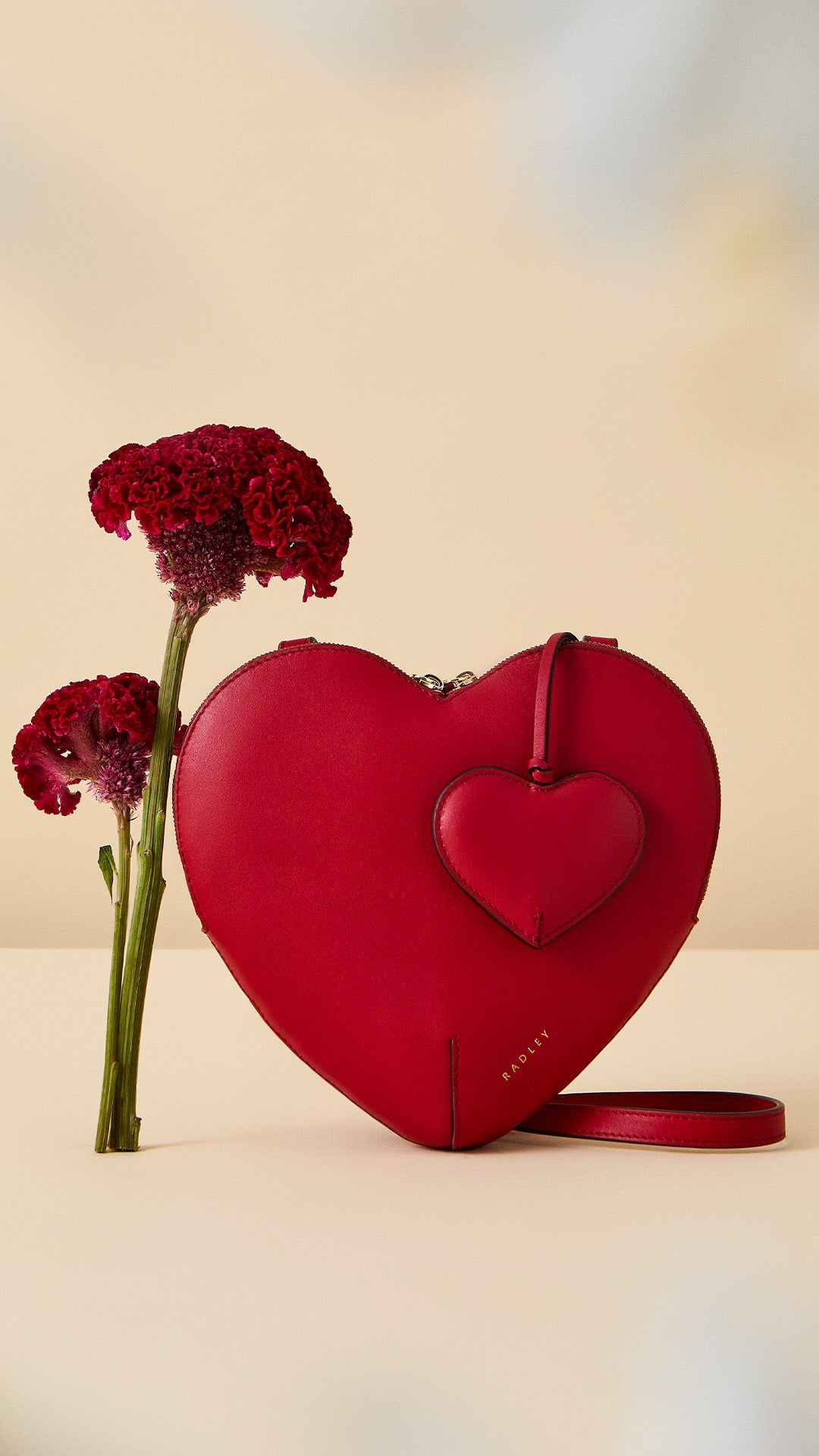 Heart Street Small Ziptop Coin Purse Poinsettia - 113178