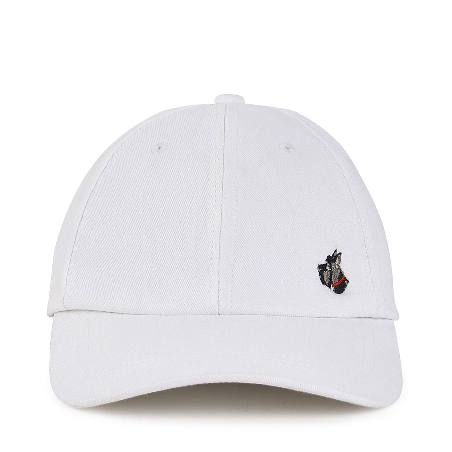 Sunshine Seeker Leather Baseball Cap in Chalk - A8192109