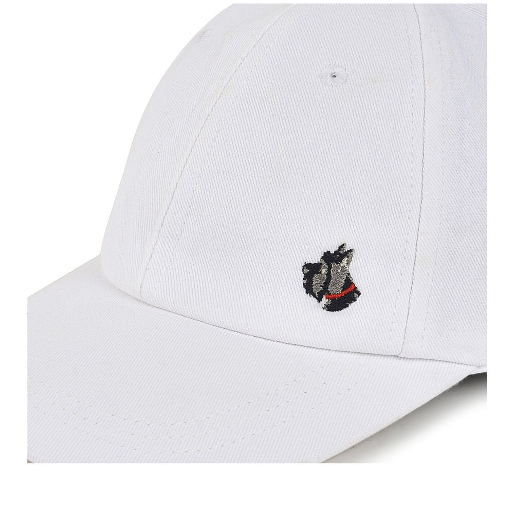 Sunshine Seeker Leather Baseball Cap in Chalk - A8192109
