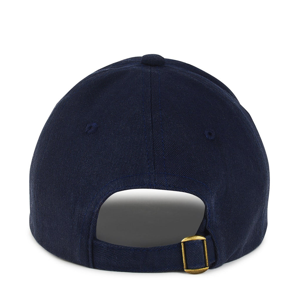 Sunshine Seeker Leather Baseball Cap in Navy - A8192482