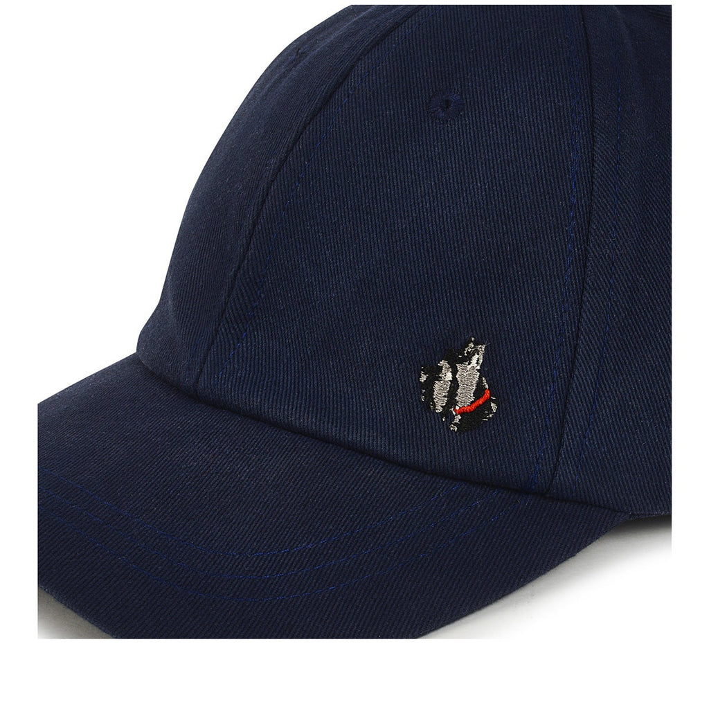 Sunshine Seeker Leather Baseball Cap in Navy - A8192482