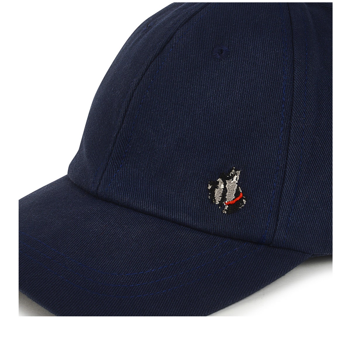 Sunshine Seeker Leather Baseball Cap in Navy - A8192482