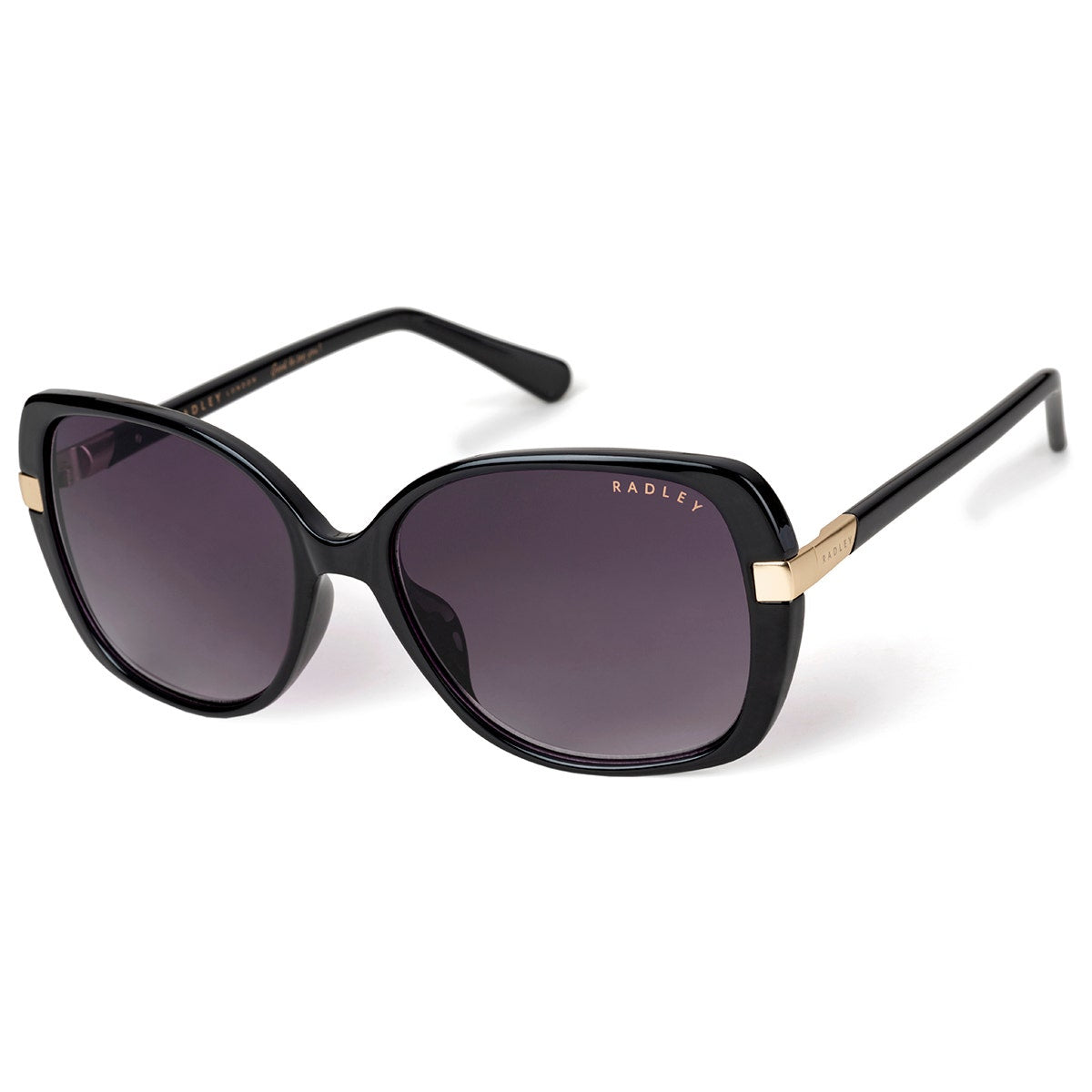 Morwenna Over Sized Metal Trim Sunglasses in Black - O4282001