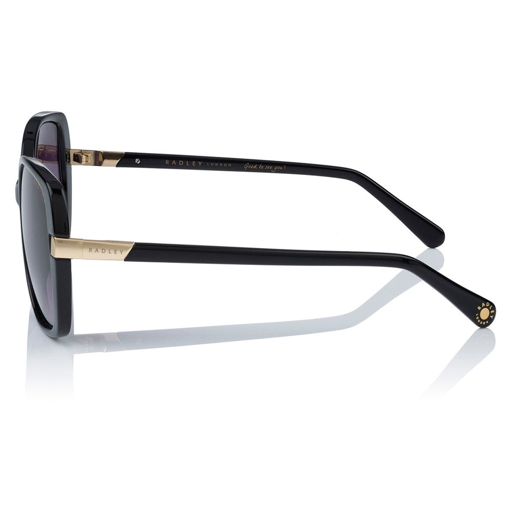 Morwenna Over Sized Metal Trim Sunglasses in Black - O4282001