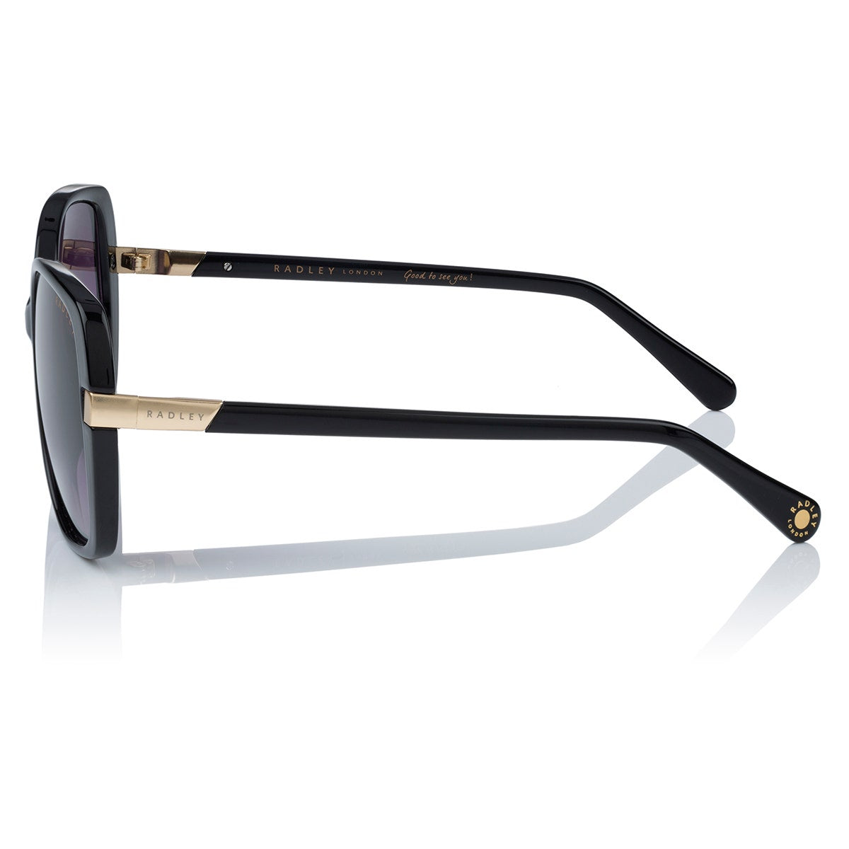 Morwenna Over Sized Metal Trim Sunglasses in Black - O4282001