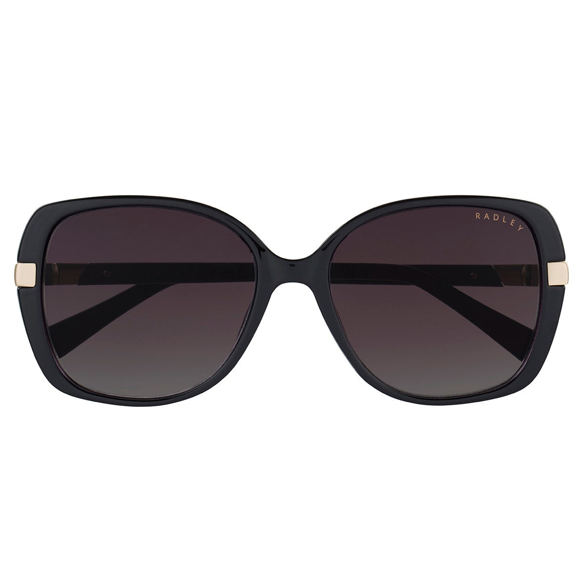 Morwenna Over Sized Metal Trim Sunglasses in Black - O4282001