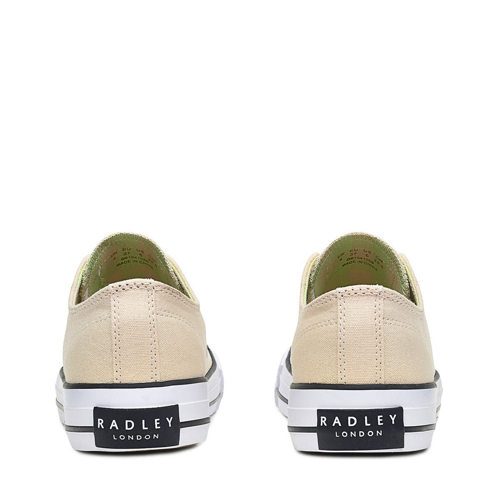CANVAS LO LO CONTRAST CHECK CHALK