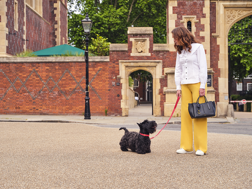 International Dog Day 2022 with Dogs Trust Radley London