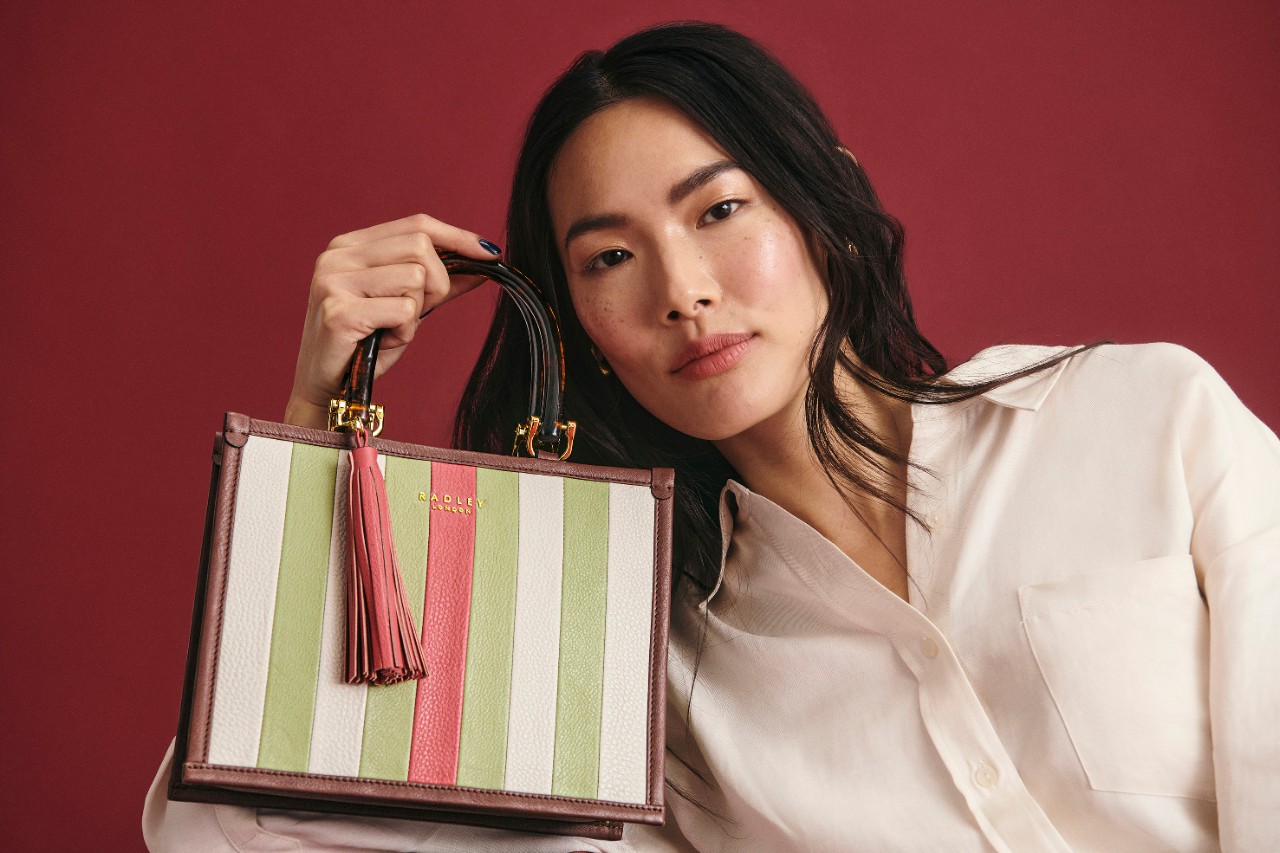 Radley striped outlet purse