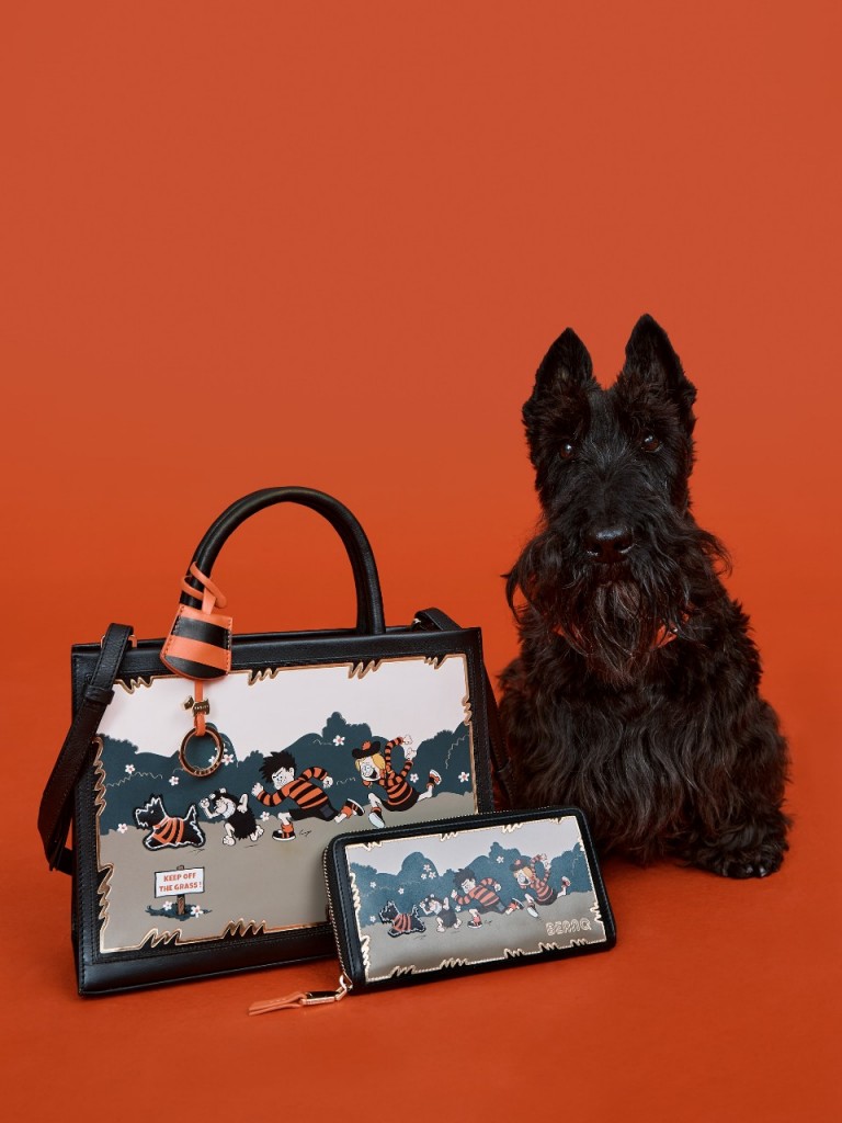 About Our Beano Collection | Radley London