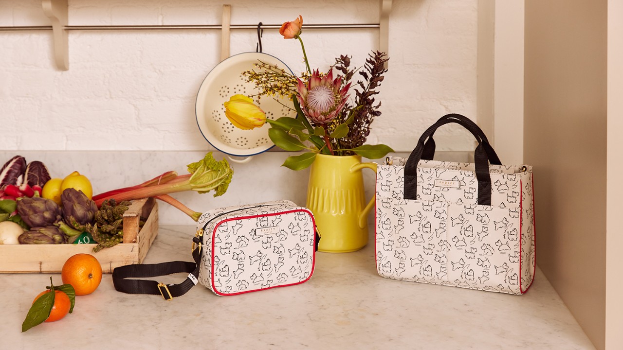 Radley lunch bag 2025
