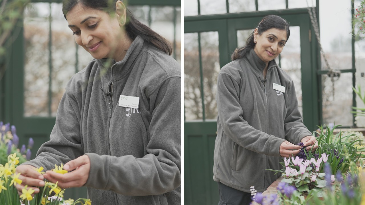 Radley abbey gardens bag online