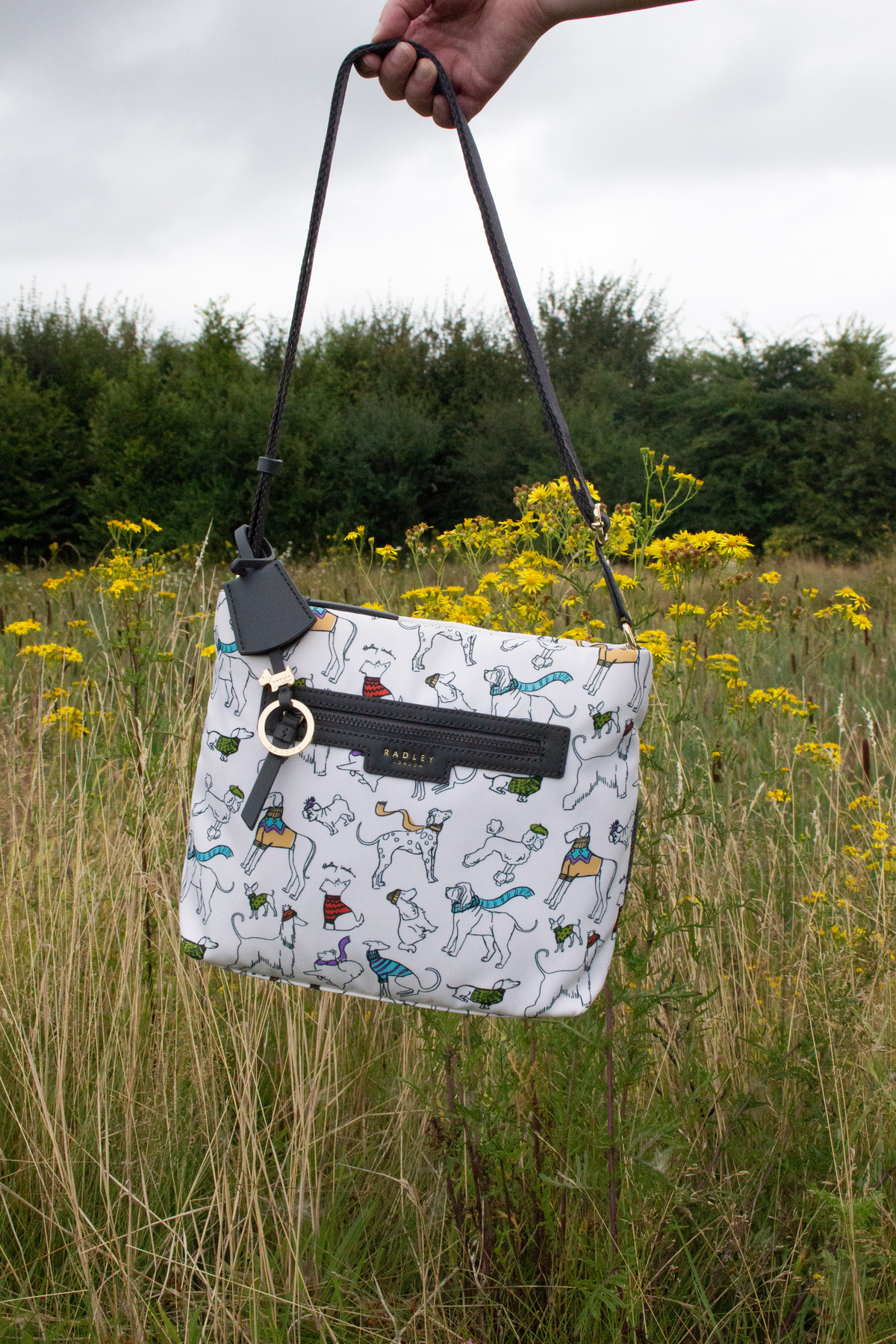 Radley London Off On An Adventure Collection