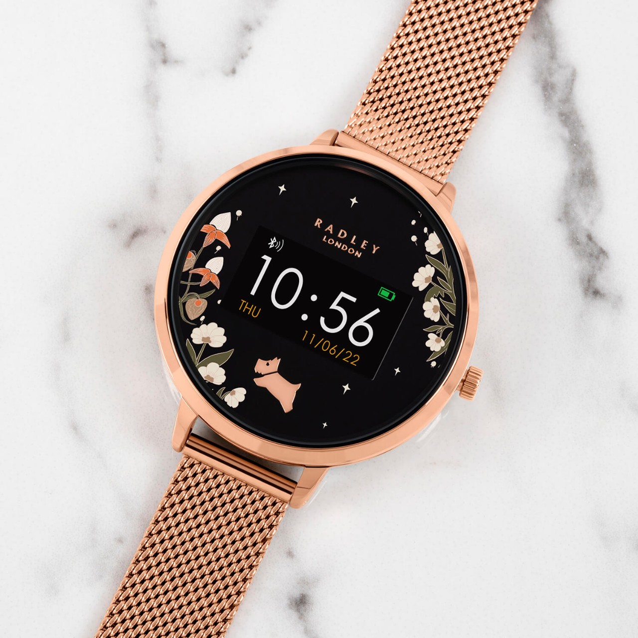 All About Watches Iconic Women s Watch Guide Radley London