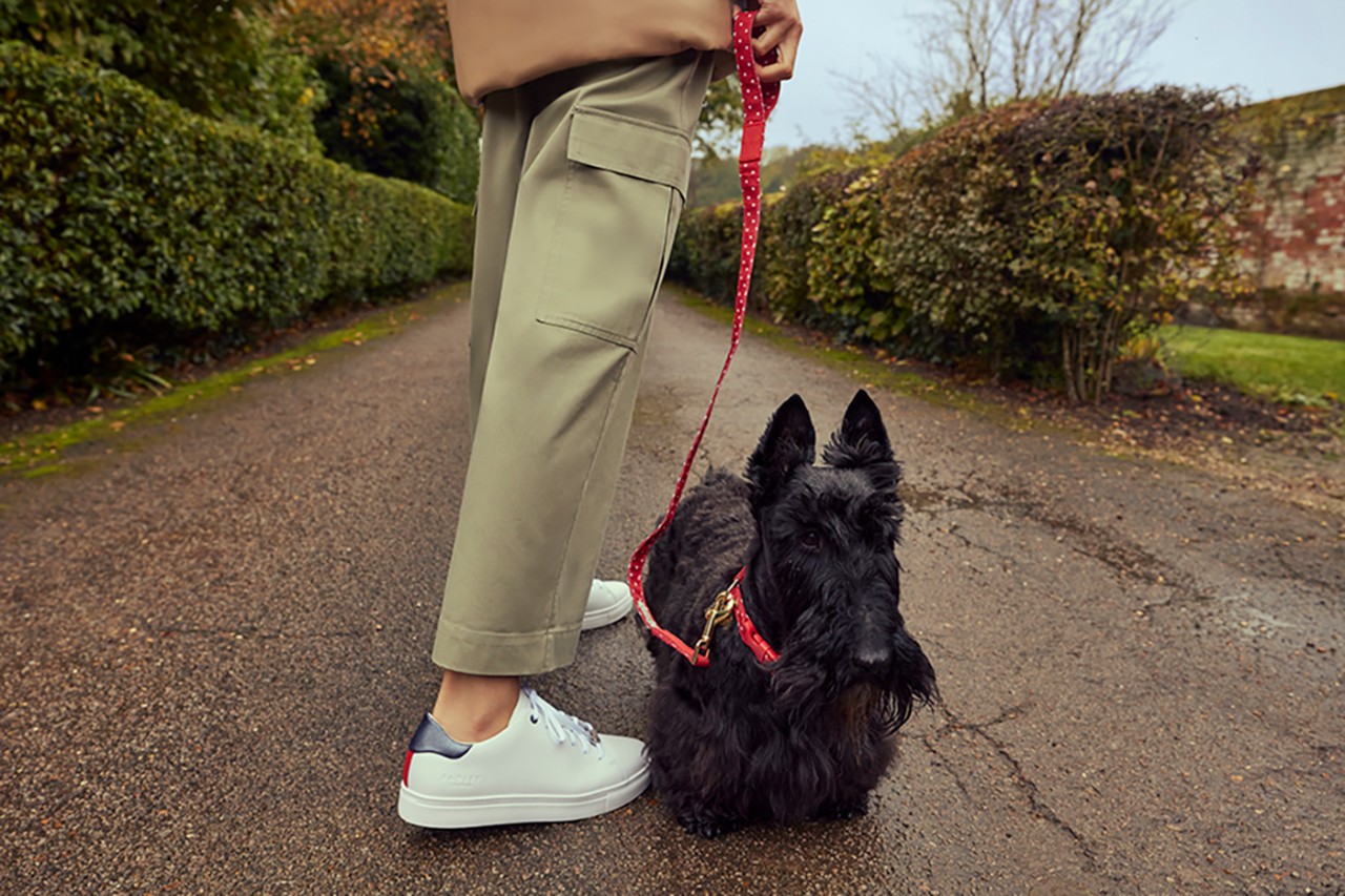 Radley dog walking bag deals
