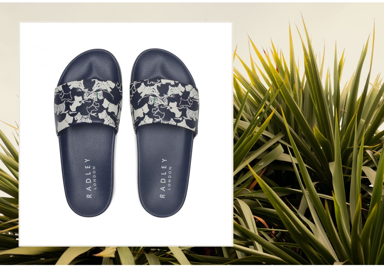 Radley flip flops clearance