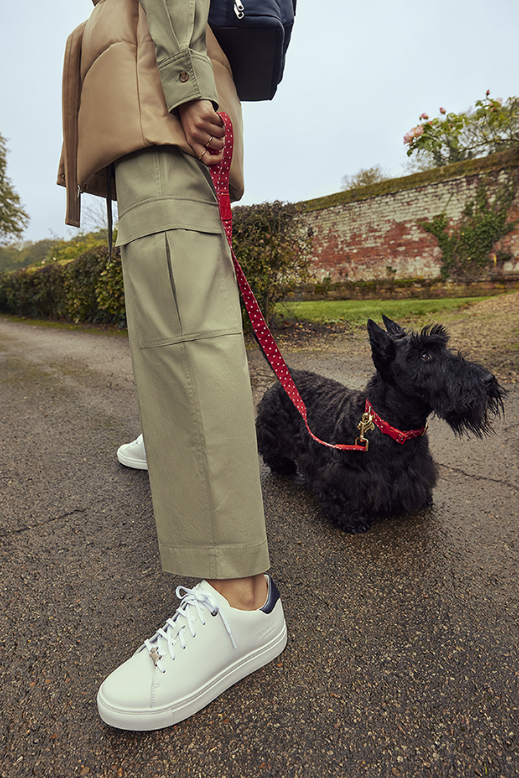 Trainers in Fashion Best Fashion Trainers Radley London